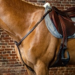 Förbygel mässingspännen dyon