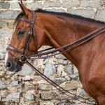 Dyon Gramantygel läder