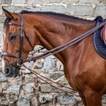 Dyon gramantygel med rep 5/8"