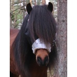 Shires flughuva