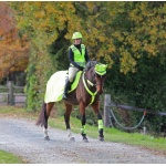 209 reflextäcke gul