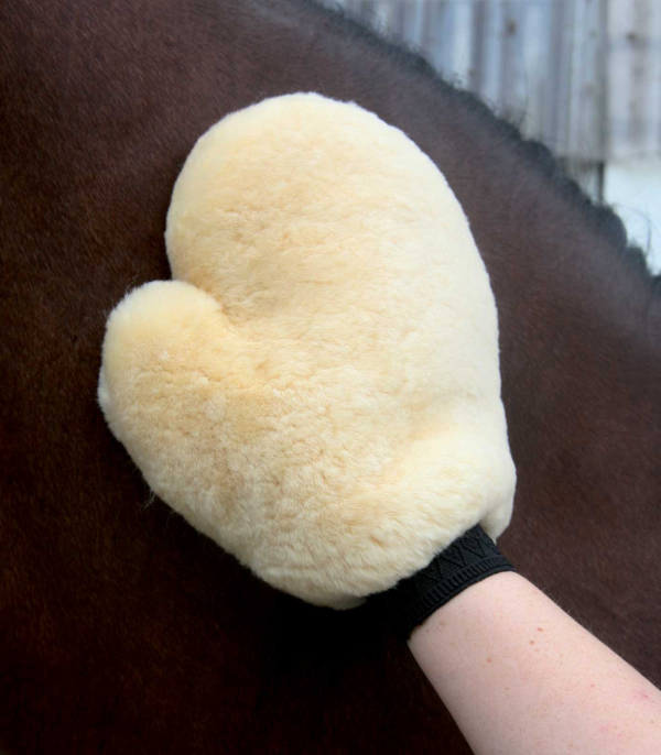Lammskinn grooming glove
