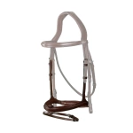 Kombinerad nosgrimma Aachen nosgrimma dyon