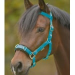 kapson nylon