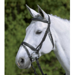 svart träns shettis