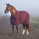 horseware rambo stable rug