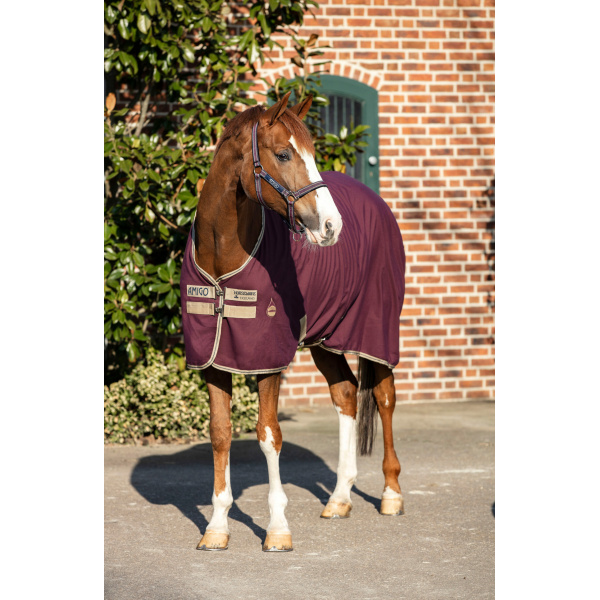 Amigo stable sheet stalltäcke