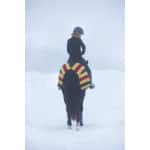 Horseware ländtäcke Rambo fleece newmarket