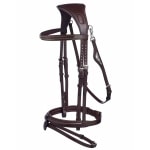 Equiline träns anatomiskt