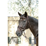 BJ301_012_Lifestyle_2_OK Equiline träns med mönstersöm