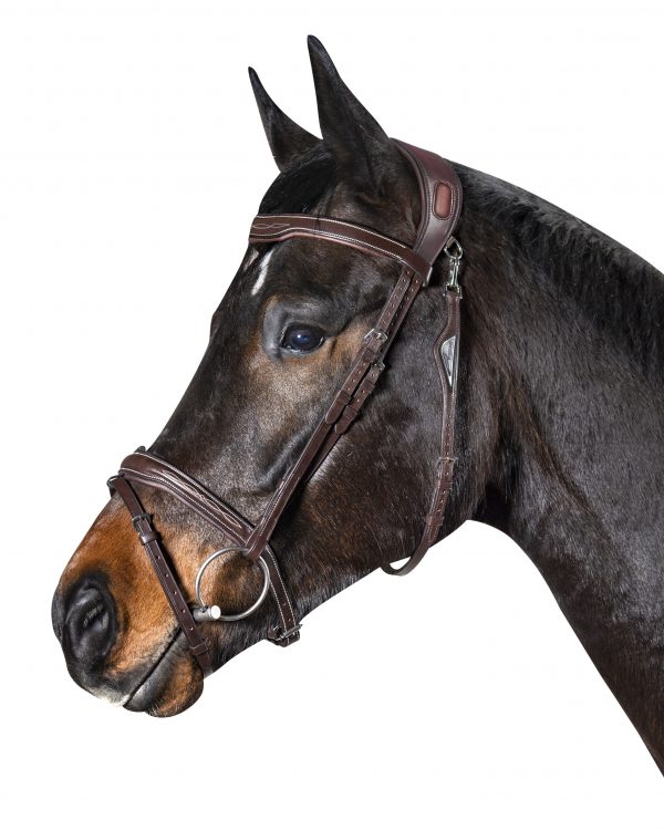 Equiline träns BJ301 bridle