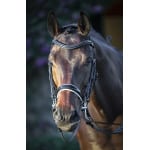 equiline kandar vit padding