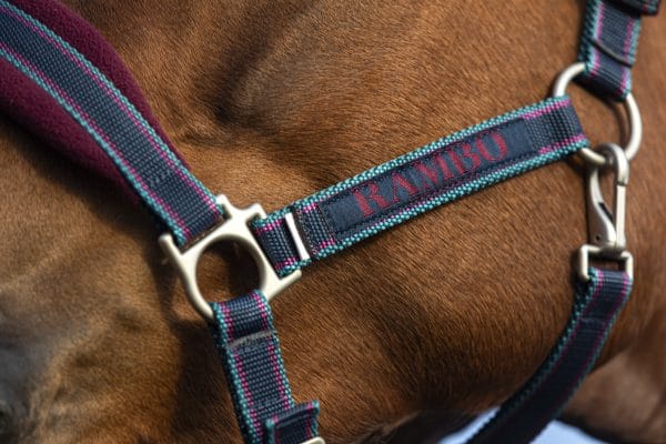 Rambo padded headcollar Burgundy
