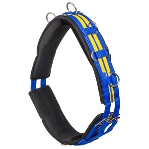 globus sport träningsgjord