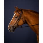 träns med remontnosgrimma