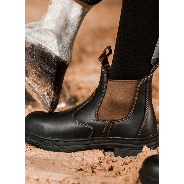 Mountain Horse protective jodhpurs