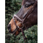 nosgrimma equiline med mönstersöm