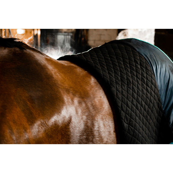 Autumn cooler från Horseware är det perfekta svettäcket till det svalare höstvädret, det transporterar bort svett samtidigt som det håller hästen varm på viktiga områden.