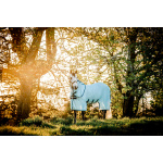 Horseware amigo bug buster flugtäcke