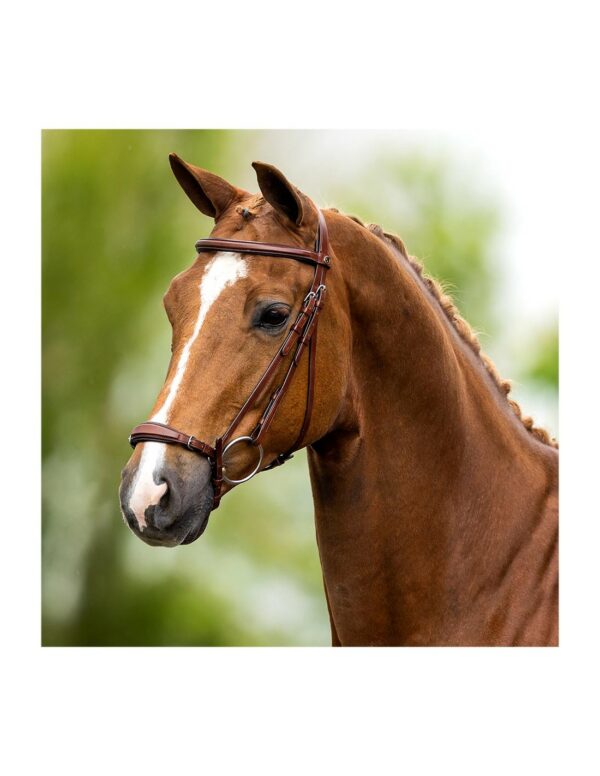 BR Equestrian - Träns Annie Remont brun full