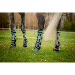 ddhfl0-mfmh-horseware-fly-boots-oatmeal-green (1) Horseware Fly Boot är ett flugskydd som är tight åtsittande och ultralätt flugskydd som andas. Skydden har dessutom likt flugtäckena UV-skydd mot solens starka strålar.