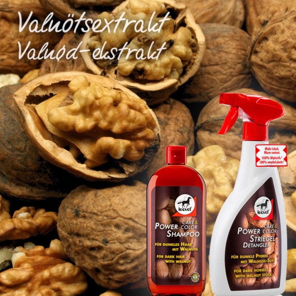 leovet-power-shampoo-walnut